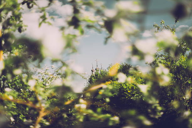 View of wooden orthodox dome of church captured through blurred branches of apple trees on sunny spring or summer day in Russia, Moscow