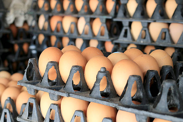 istock Eggs from chicken farm in the package 635824540