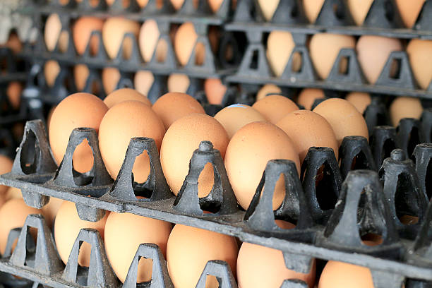 istock Eggs from chicken farm in the package 635824592
