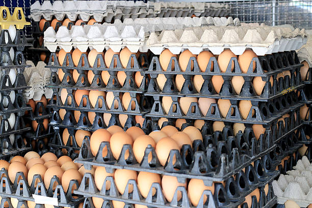 istock Eggs from chicken farm in the package 635824756