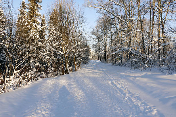 istock Path in the snow in a cold winter day 635828056