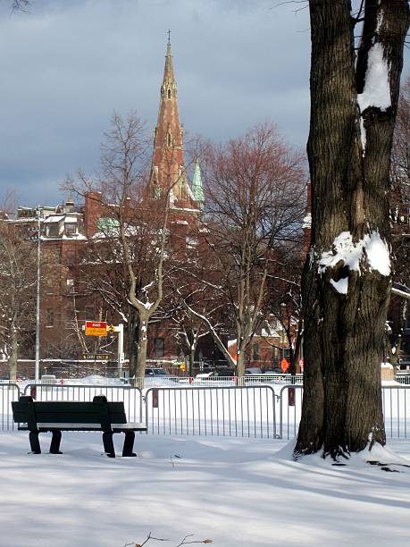 Winter Beacon Hill Charles Street Boston
