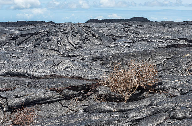 istock Close up lava flow in lava field 635830584
