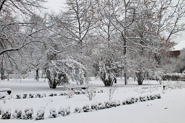 istock Winter landscape in the city park 635833204