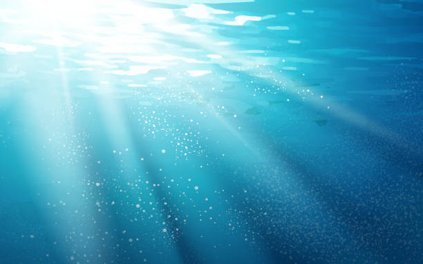 Aquatic Vector Art Icons And Graphics For Free Download Aquatic Vector Art Icons And Graphics For Free Download