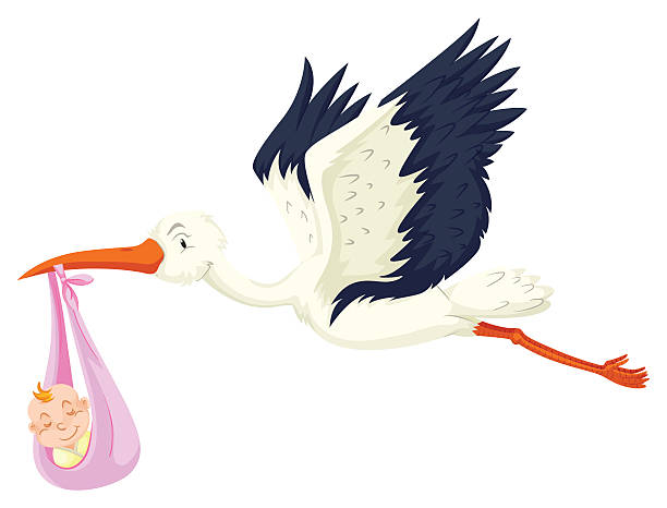 istock Crane delivering baby girl 635839586