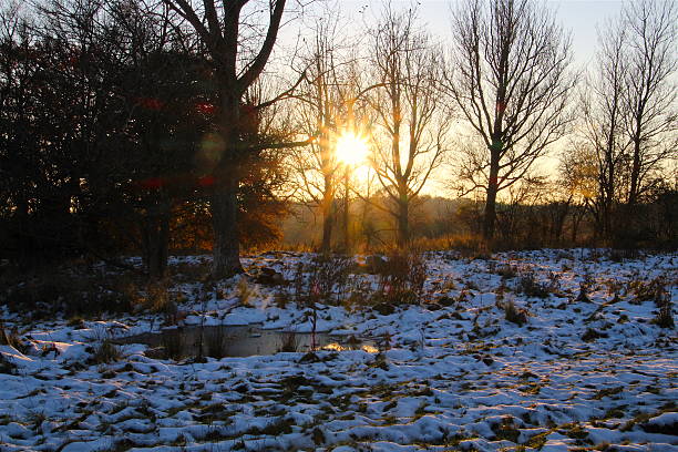 istock Winter mood at the puddle 635841214