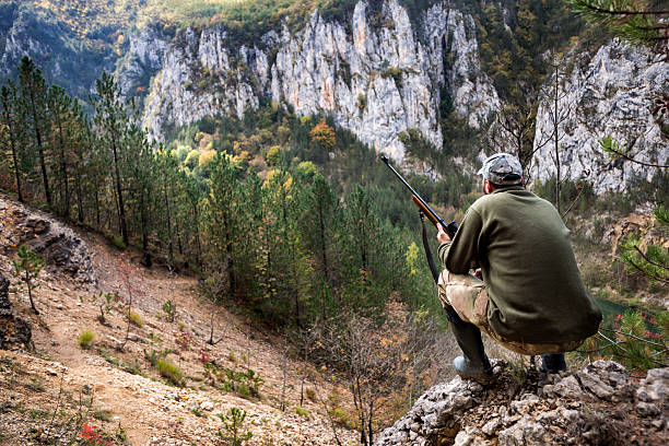 Hunter in the nature Portrait of hunter with rifle crouching on top of the hill and stalking his prey. animals hunting stock pictures, royalty-free photos & images