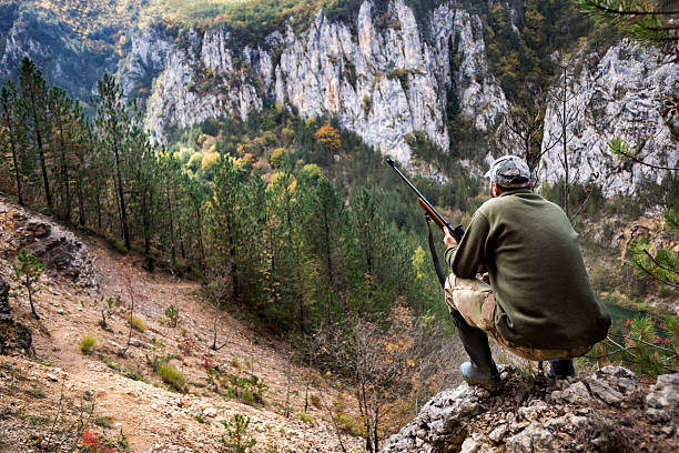 Hunter in the nature Portrait of hunter with rifle crouching on top of the hill and stalking his prey. woodland camo stock pictures, royalty-free photos & images