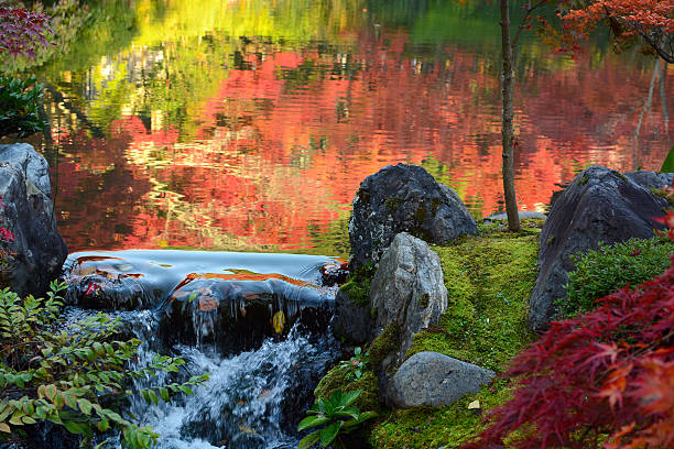 istock Small waterfall at edge of a pond with autumn reflections 635846574
