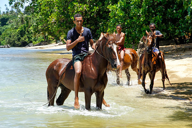 Young men riding horses on the beach on Taveuni, Fiji Taveuni, Fiji - November 23, 2013: Young men riding horses on the beach on Taveuni Island, Fiji. Taveuni is the third largest island in Fiji. taveuni photos stock pictures, royalty-free photos & images