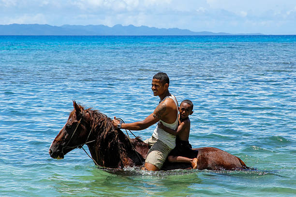 Young man with a boy riding horse on the beach Taveuni, Fiji - November 23, 2013: Young man with a boy riding horse on the beach on Taveuni Island, Fiji. Taveuni is the third largest island in Fiji. vanua levu island photos stock pictures, royalty-free photos & images