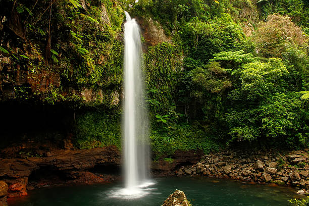 Lower Tavoro Waterfalls in Bouma National Heritage Park, Taveuni Lower Tavoro Waterfalls in Bouma National Heritage Park on Taveuni Island, Fiji. Taveuni is the third largest island in Fiji. taveuni photos stock pictures, royalty-free photos & images