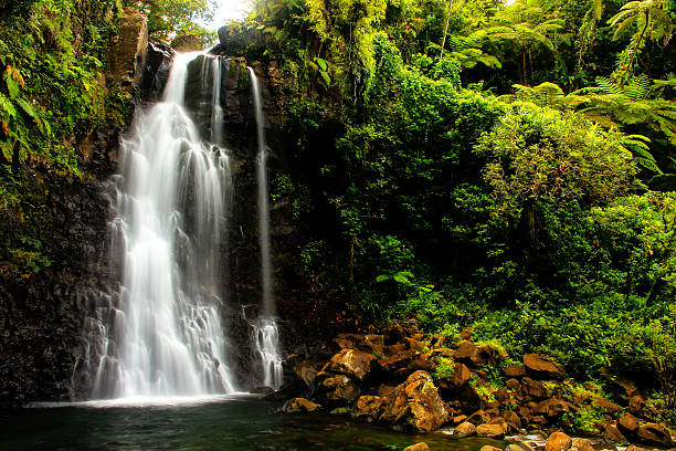 mittlere tavoro wasserfälle in bouma national heritage park, taveun - fidschi stock-fotos und bilder