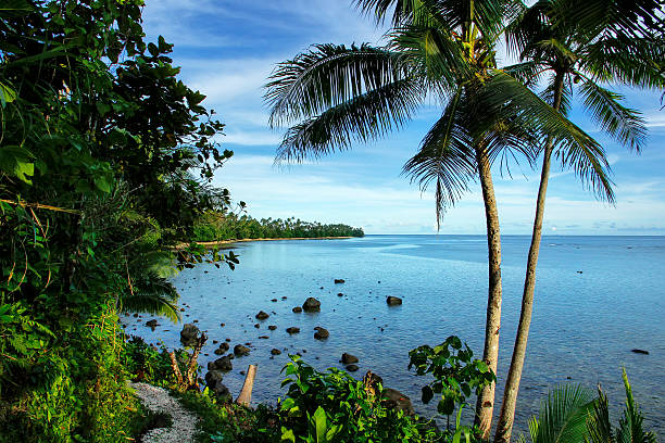 Ocean view along Lavena Costal Walk on Taveuni Island, Fiji Ocean view along Lavena Costal Walk on Taveuni Island, Fiji. Taveuni is the third largest island in Fiji. taveuni stock pictures, royalty-free photos & images