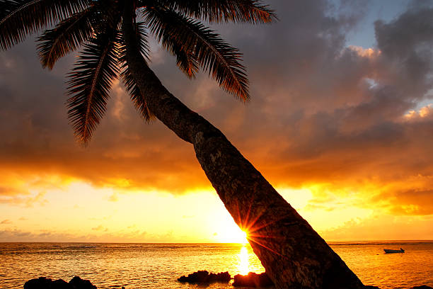 istock Leaning palm tree at sunrise in Lavena village on Taveuni 635866622