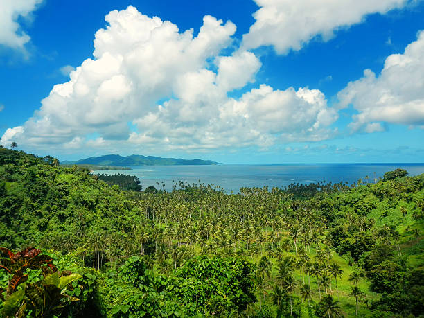View of Bouma National Heritage Park and Somosomo strait View of Bouma National Heritage Park and Somosomo strait on Taveuni Island, Fiji. Taveuni is the third largest island in Fiji. vanua levu island photos stock pictures, royalty-free photos & images