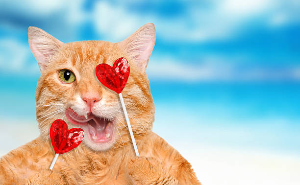 istock Cat is holding candy hearts in paws. 635869356