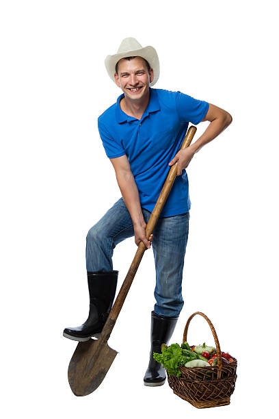 istock farmer with a shovel and harvest vegetables 635870674