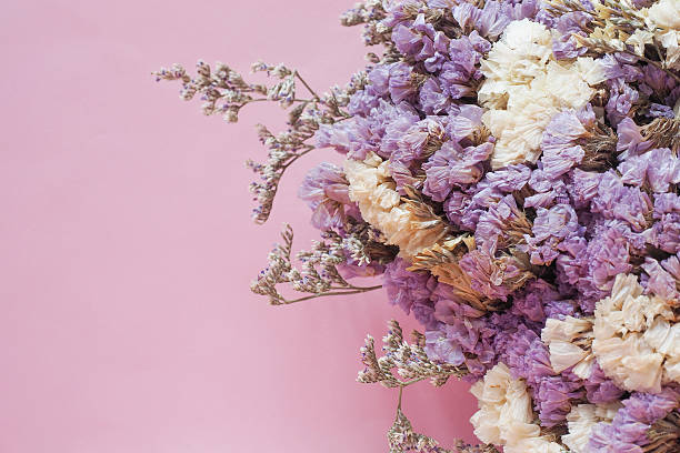 istock Dry purple flower 635877760