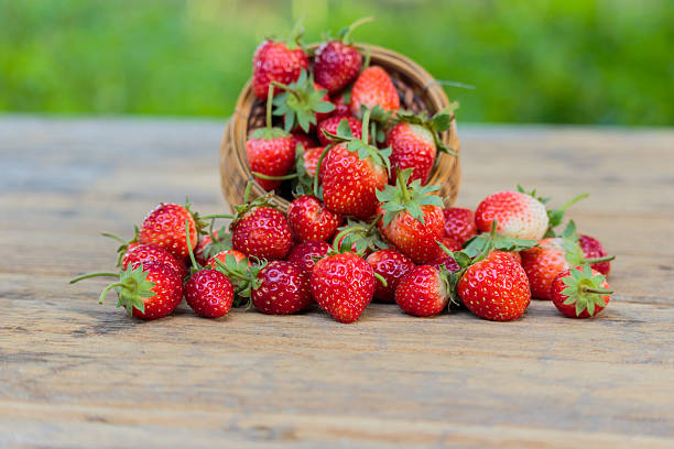 istock Ripe strawberries with leaves in wicker basket 635885208