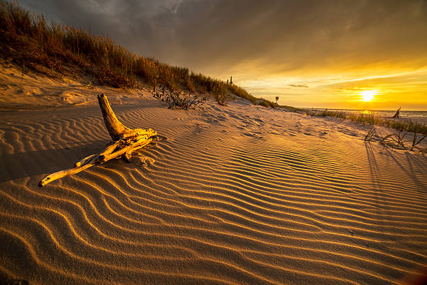 Sand dunes on the beach in northern Poland