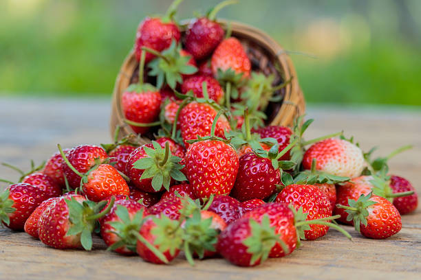 istock Ripe strawberries with leaves in wicker basket 635885284