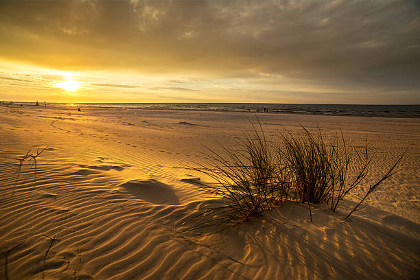 Sand dunes on the beach in northern Poland stock photo