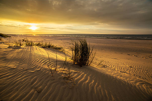 istock Sand dunes on the beach in northern Poland 635885430