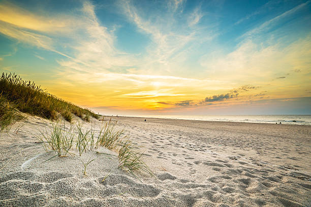 istock Sand dunes on the beach in northern Poland 635885778