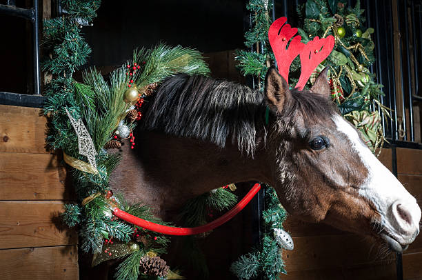 istock Christmas horse 635893828