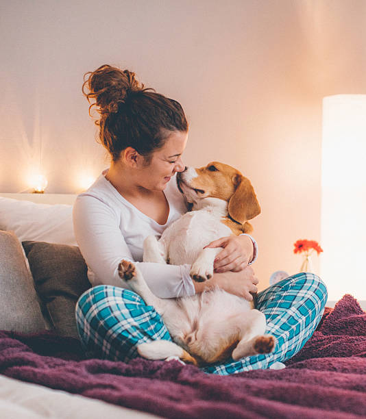 istock Happy young girl with beagle 635894482