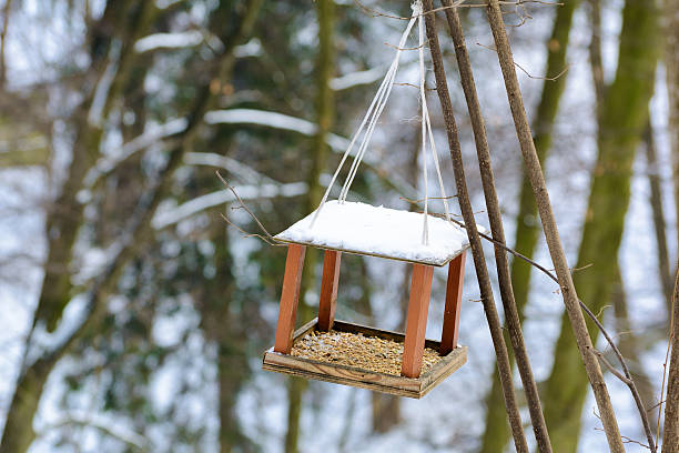 istock Bird feeders. Wooden racks for birds on a tree. 635895624
