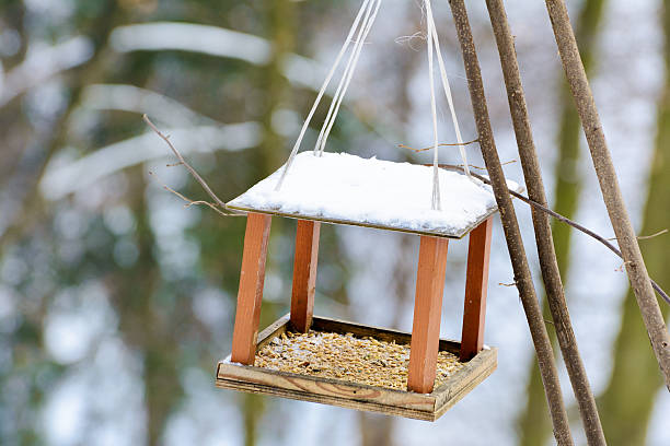 istock Bird feeders. Wooden racks for birds on a tree. 635895672
