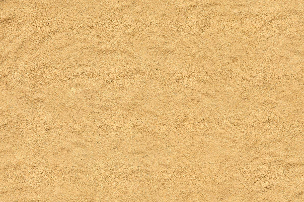 istock Harvest background - rice in husk 635897026