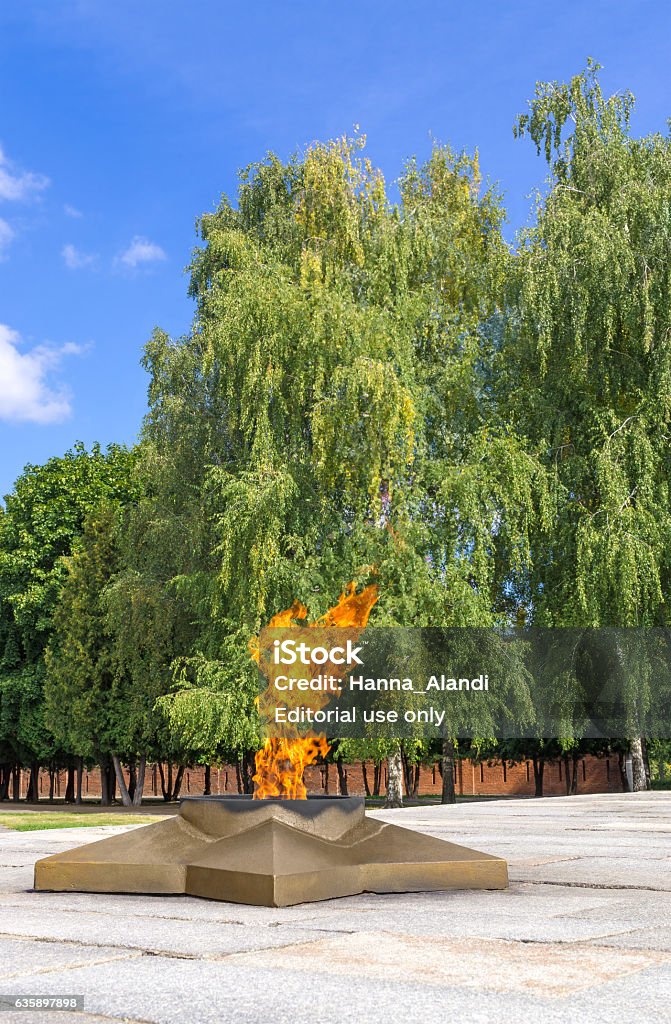 Eternal flame in Memorial Park Kolomna, Russia - August 28, 2015: Star with burning eternal flame in memorial park dedicated to soldiers who died during Great Patriotic War. Blurred background Army Soldier Stock Photo