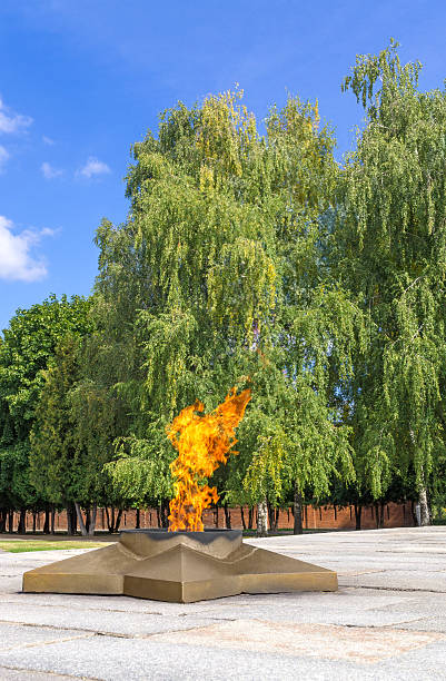 вечный огонь в мемориальном парке - military funeral armed forces family стоковые фото и изображения