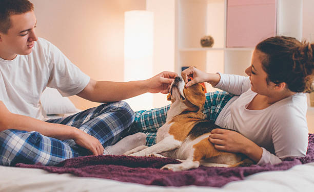 istock Young couple in bed with dog 635897992