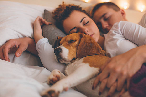 istock Young couple relaxing on the bed with her pet dog 635898792