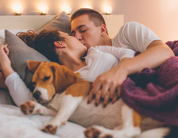 istock Young couple relaxing on the bed with her pet dog 635899110