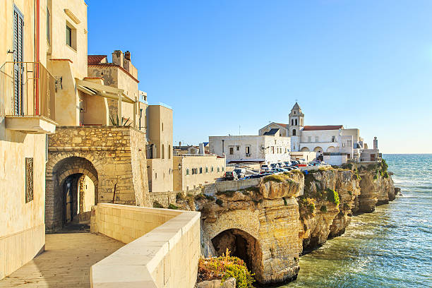 istock Vieste town in Apulia, Italy 635899558