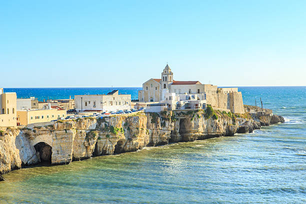istock Vieste town in Apulia, Italy 635899714