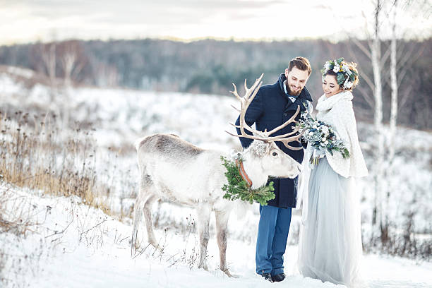 istock The bride and groom walk with the deer. 635900702