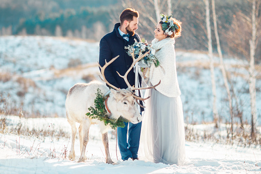 Beautiful bride and groom walk with the deer. Wedding ceremony in winter.