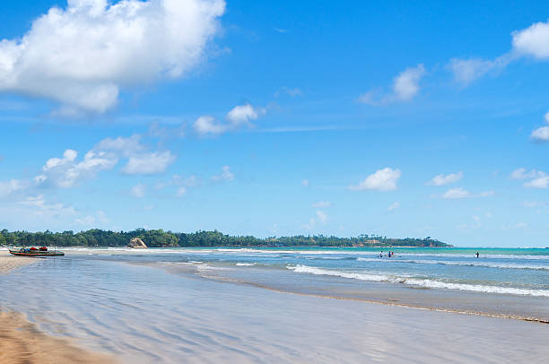 istock ocean,  beach, waves for surfing lessons 635901350