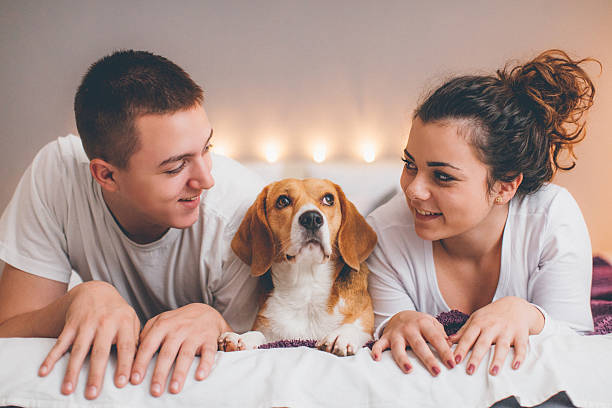 istock Young couple in bed with dog 635903794