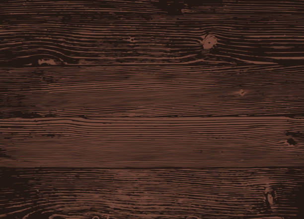 ilustraciones, imágenes clip art, dibujos animados e iconos de stock de textura de madera, vector eps10 ilustración. fondo natural de madera oscura. - wood texture