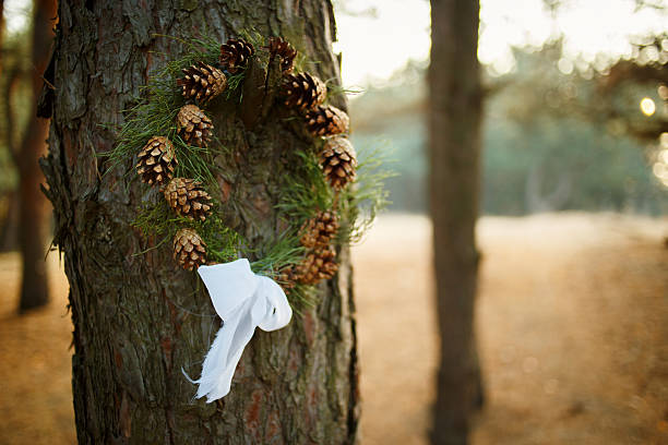 istock wreath of cones in the forest 635905004