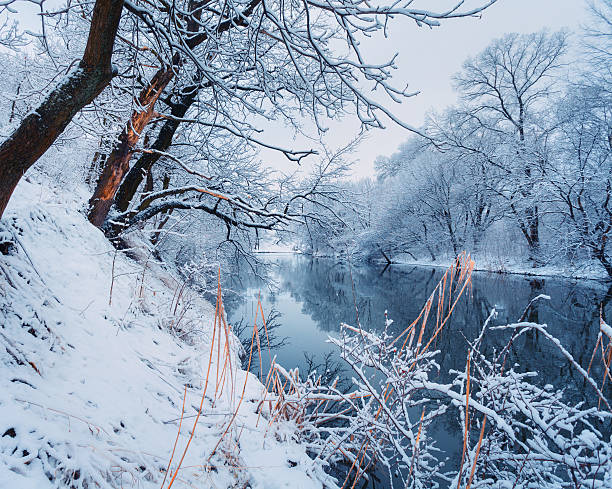 Winter in Troisvierges, Luxembourg (near Gouvy, Belgium) in Biwischerbësch