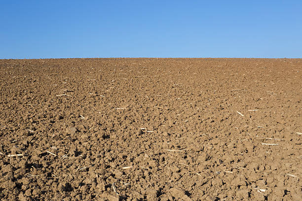 istock Plowed agriculture field prepared for sowing 635905592